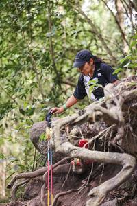 BIB: 
                            <button type="button" onclick="openModal(28095379)" class="btn btn-primary btn-sm float-right btn-popup" data-toggle="modal" data-target=".modal-high-quality">
                        <i class="fas fa-shopping-cart"></i> Add to Cart
                    </button>
                                            <button type="button" onclick="isThisMe(28095379, true)" class="btn btn-success btn-sm float-right btn-popup btn-isme hidden" data-toggle="tooltip" data-placement="bottom" title="นี่คือรูปของคุณใช่ไหม คลิกที่นี่เพื่อเอาเข้าอัลบั้ม">
                        <i class="fas fa-plus"></i> Add to album
                    </button>
                    <button type="button" onclick="isThisMe(28095379, false)" class="btn btn-warning btn-sm float-right btn-popup btn-isnotme hidden">
                        <i class="fas fa-ban"></i> Remove from album
                    </button>